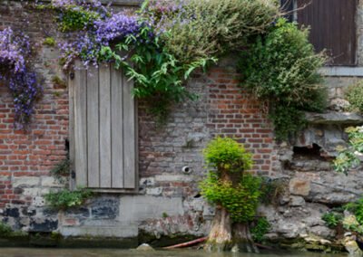 So many interesting River side views in Ghent